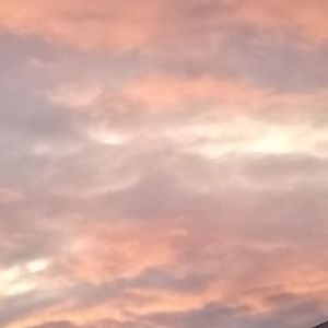 Meet your Posher, Sue